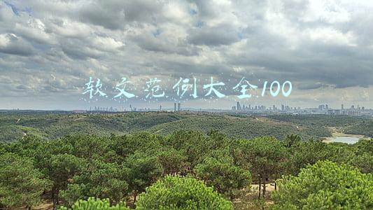 软文范例大全100字(故事式软文)