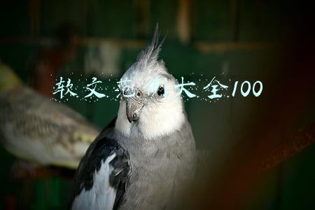 软文范例大全100