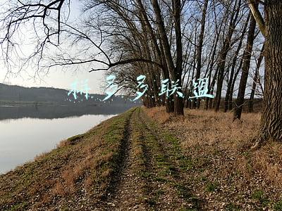拼多多联盟佣金是真的吗(高佣联盟赚钱是真的吗？带你探索高佣联盟的秘密)