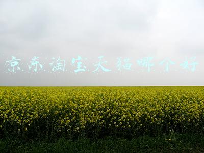京东淘宝天猫哪个好