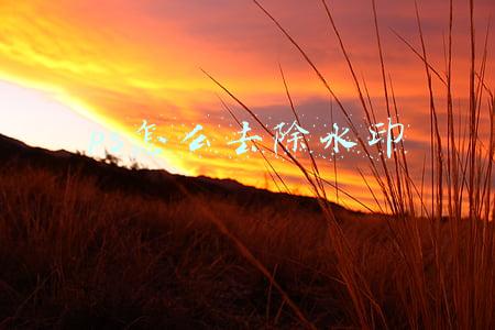 ps怎么去除水印