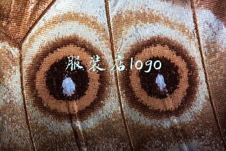 服装店logo