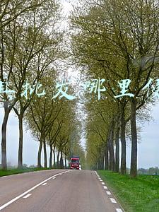 玩具批发哪里便宜