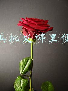 玩具批发哪里便宜