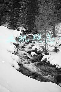 山东个体营业执照怎么年审(个体户营业执照年检时间，需要的材料是什么)