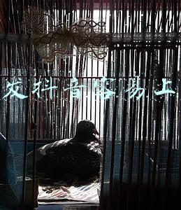 几点发抖音容易上热门