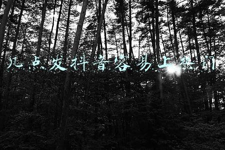 几点发抖音容易上热门