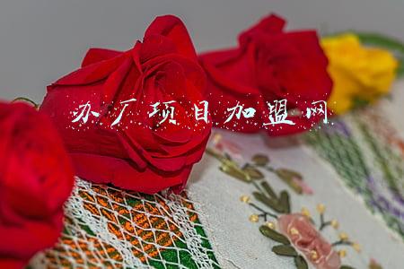 办厂项目加盟网