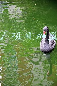 办厂项目加盟网