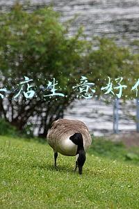 文具店生意好做吗