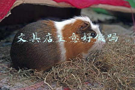 文具店生意好做吗