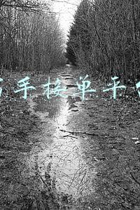 写手接单平台