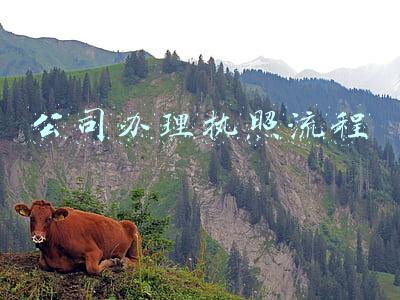 公司办理执照流程