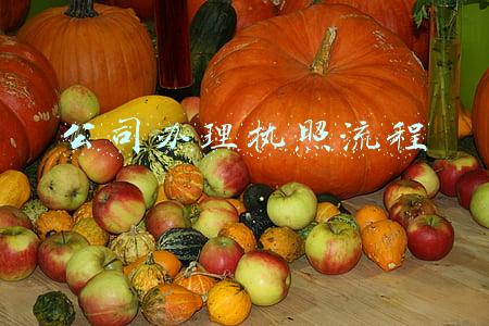 公司办理执照流程