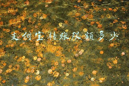 一般支付宝转账限额多少(支付宝转账限额一天内 2018支付宝每天转账上限新规)