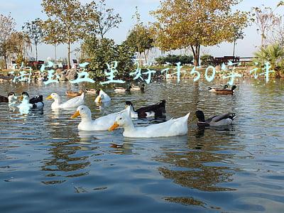 淘宝五星好评50字评语