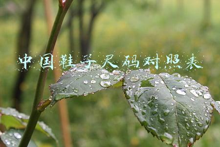 中国鞋子尺码对照表