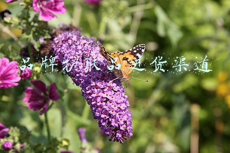 品牌护肤品进货渠道