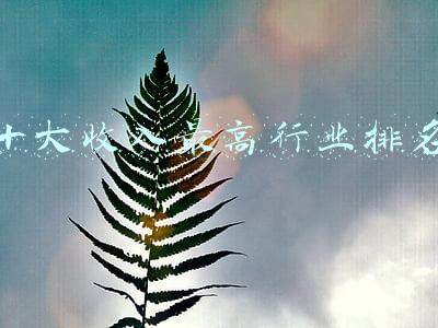 十大收入最高行业排名