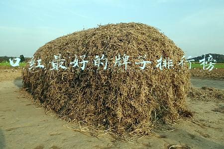 口红最好的牌子排行榜