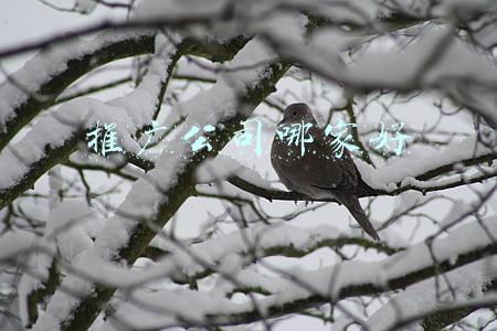 太原网络推广公司哪家好(太原市网络推广哪家好？)