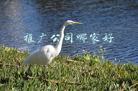 推广公司哪家好