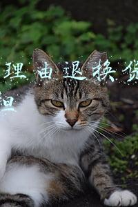 天猫7天无理由退换货运费谁承担(淘宝更改退款规则，500 元以内自动秒退)