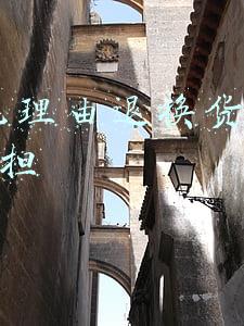 7天无理由退换货运费谁承担