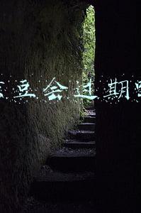 京豆会过期吗