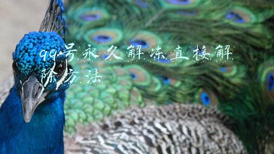 qq号永久解冻直接解除方法