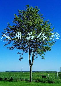 成人用品体验店法律允许开吗(未成年人无需监护人陪同可随意进出 不登记身份信息即可“开房”私人影院缘何监管空白)