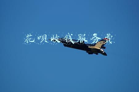 花呗收钱服务费