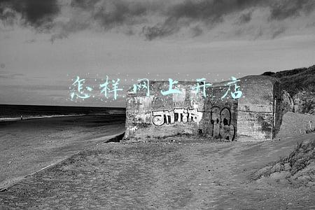 怎样网上开店