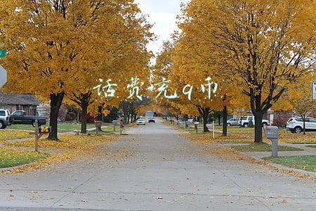 话费充q币