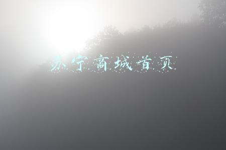 苏宁易购登录首页(苏宁易购集团股份有限公司 第七届董事会第二十六次会议决议公告)
