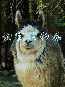 淘宝购物券
