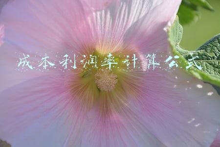 成本利润率计算公式