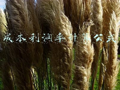 人工成本利润率计算公式(分享餐饮创业——利润的几点小知识)