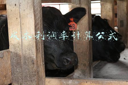成本利润率计算公式中的利润是利润总额吗(农村信用社业务基础知识：财务会计)
