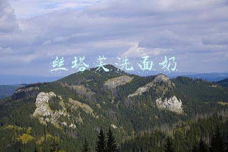 丝塔芙洗面奶