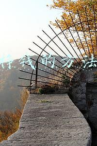 挣钱的方法