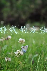 挣钱的方法