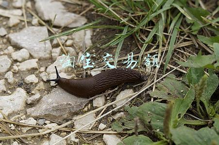 2019年淘宝交易额(2020年全国电商交易达37.21万亿，芬香、拼多多等入围优秀案例)