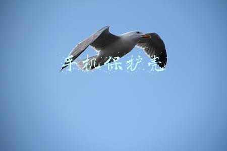 手机保护壳