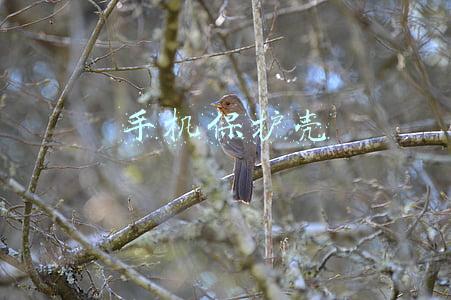 手机保护壳