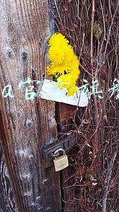 zara官方旗舰店