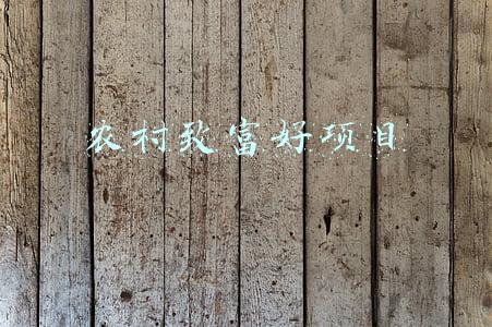 农村致富好项目