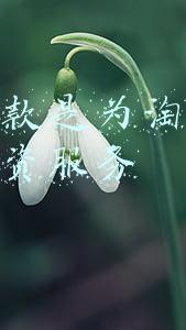 淘宝贷款是为淘宝店主提供融资服务