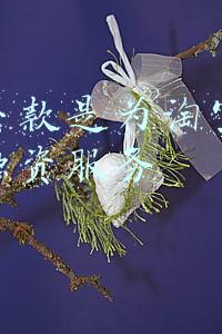 淘宝贷款是为淘宝店主提供融资服务