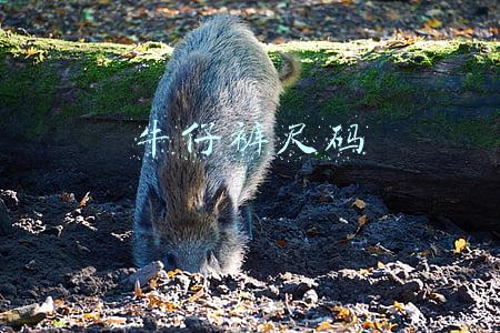 牛仔裤尺码
